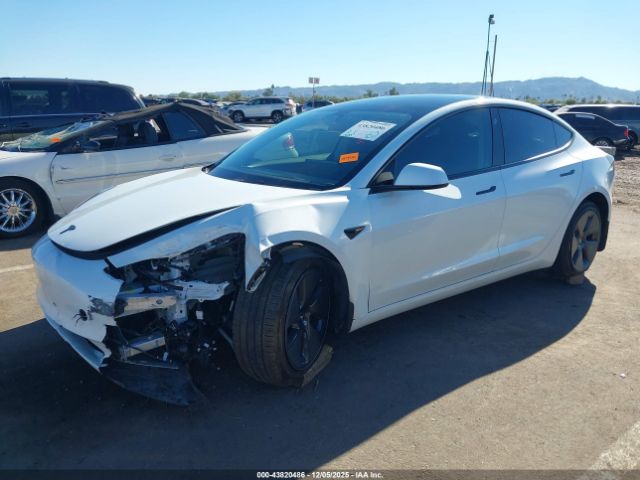 Tesla Model 3 Rear-wheel Drive Image 6