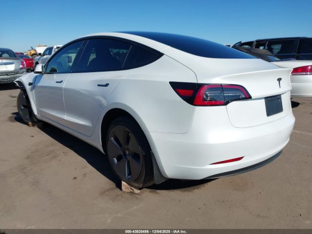 Tesla Model 3 Rear-wheel Drive Image 5