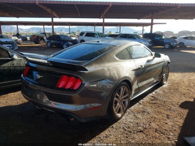 Ford Mustang Ecoboost Image 11