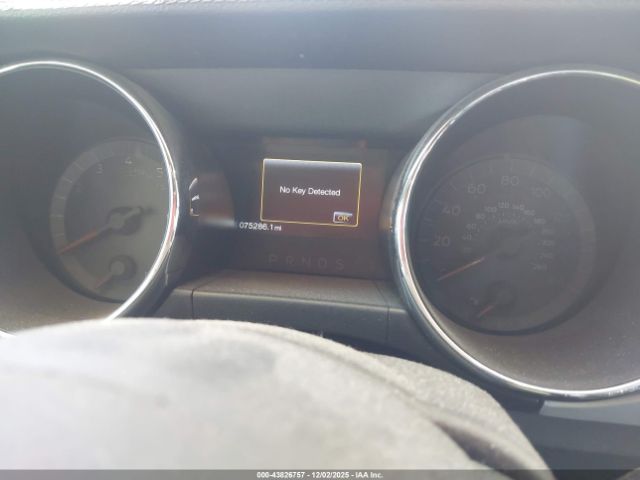 Ford Mustang Ecoboost Image 13