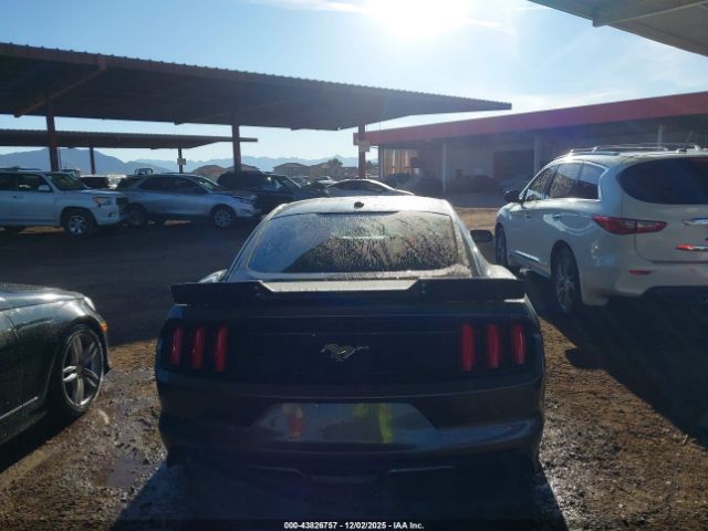 Ford Mustang Ecoboost Image 6
