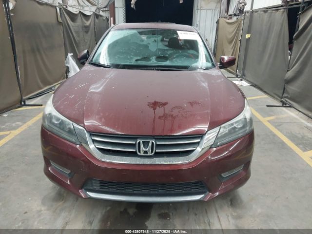 Honda Accord Sport Image 8