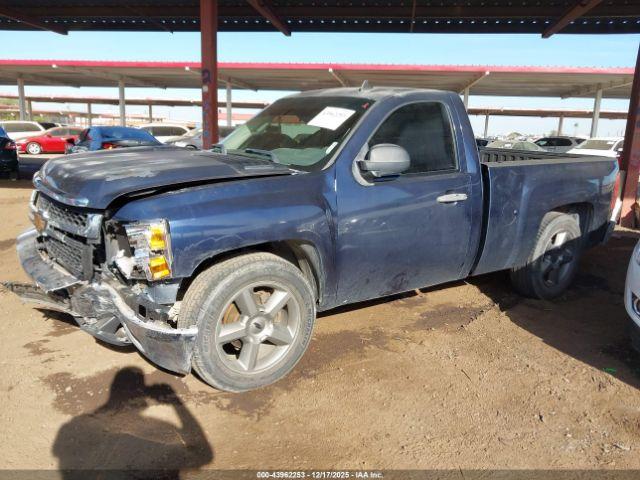 Chevrolet Silverado 1500 Work Truck Image 2