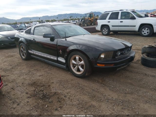 Ford Mustang Image 1