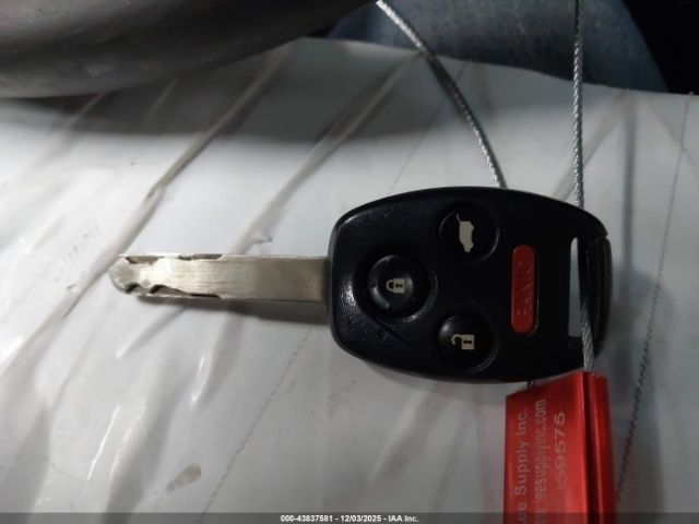 Honda Pilot Touring Image 3