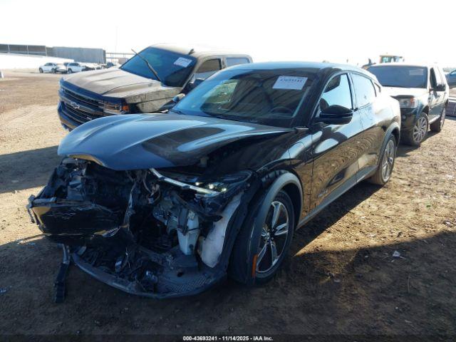 Ford Mustang Select Image 2