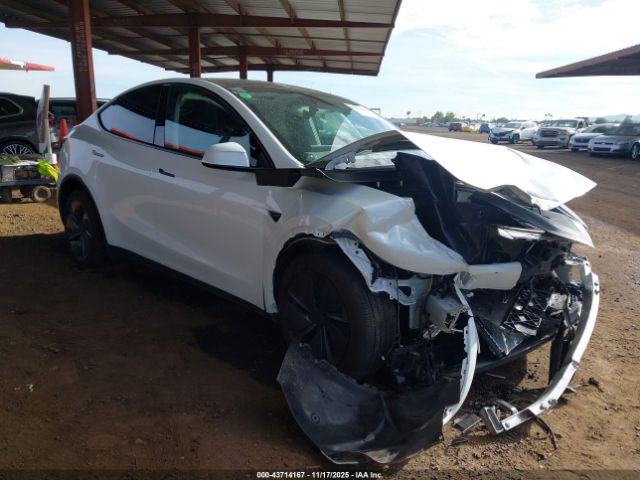 Tesla Model Y Long Range Dual Motor All-wheel Drive Image 1