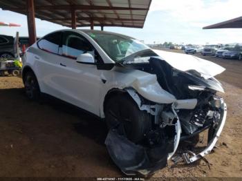  Salvage Tesla Model Y