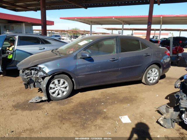 Toyota Corolla Le Image 5