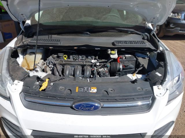 Ford Escape S Image 6
