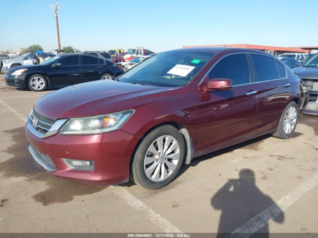 Honda Accord Ex-l Image 3