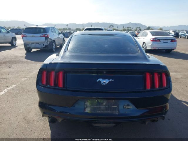 Ford Mustang Ecoboost Image 11