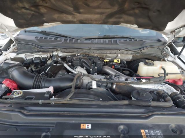 Ford F-250 Xl Image 2