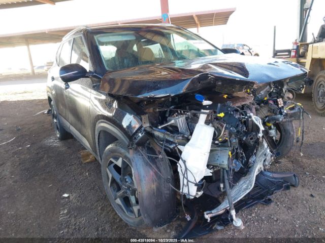 Kia Seltos Ex Image 8