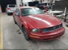 Ford Mustang Image 1