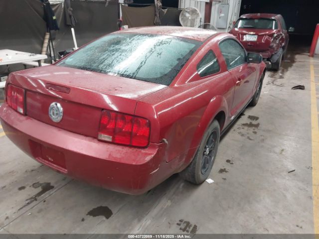 Ford Mustang Image 7