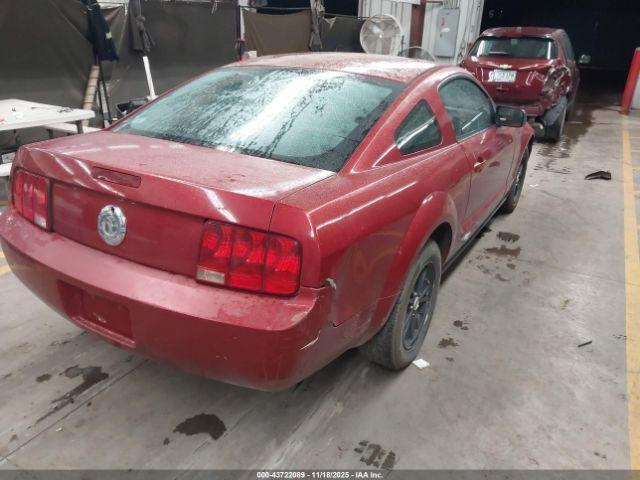 Ford Mustang Image 7