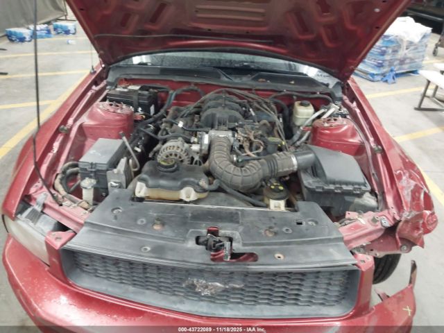 Ford Mustang Image 13