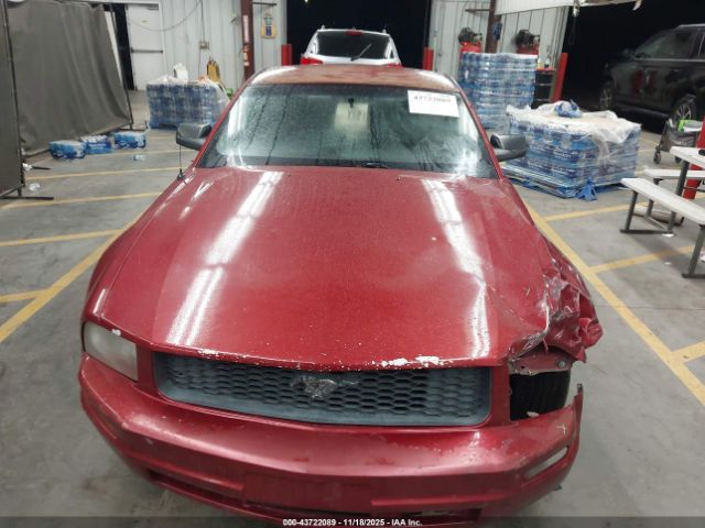 Ford Mustang Image 10