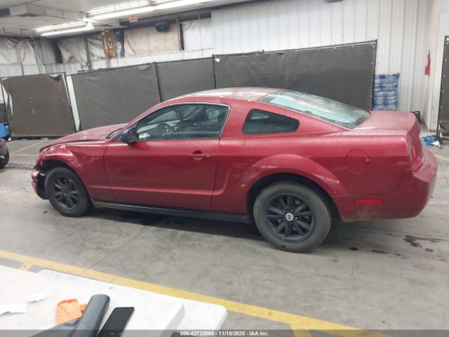 Ford Mustang Image 16