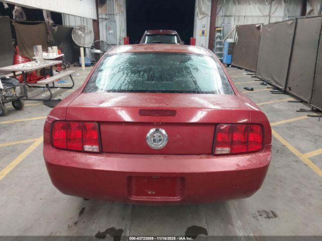 Ford Mustang Image 3