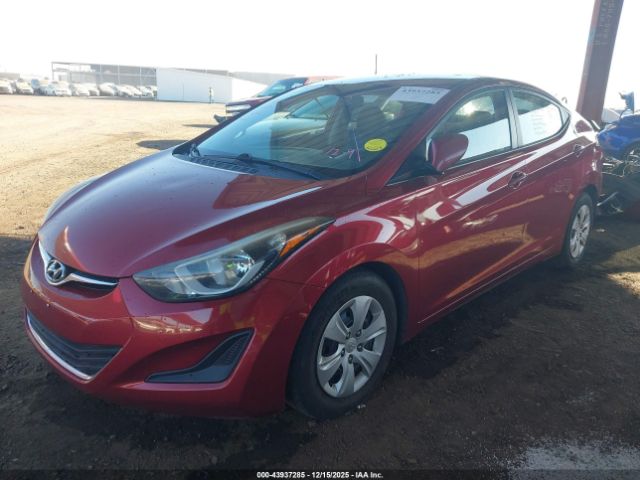 Hyundai ELANTRA Se Image 11