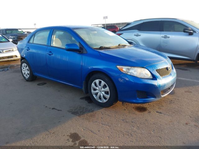 Toyota Corolla Le Image 1