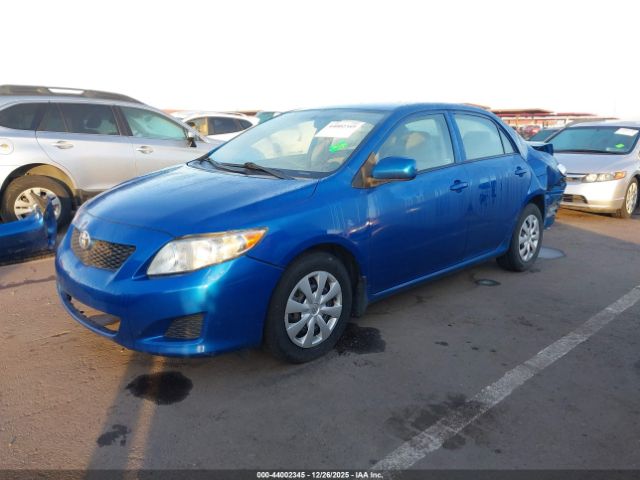 Toyota Corolla Le Image 13