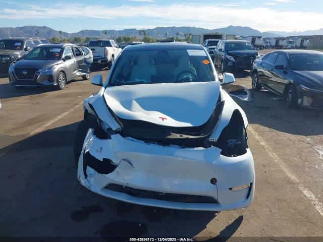 Tesla Model Y Long Range Dual Motor All-wheel Drive Image 19