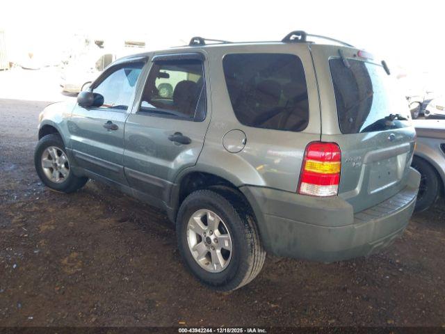 Ford Escape Xlt Image 4