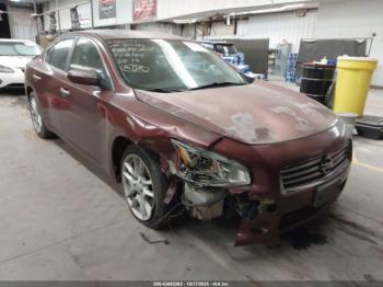  Salvage Nissan Maxima