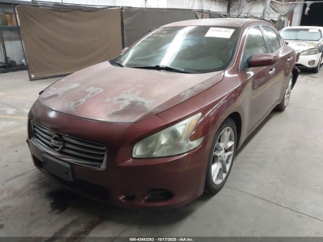 Nissan Maxima 3.5 S Image 16