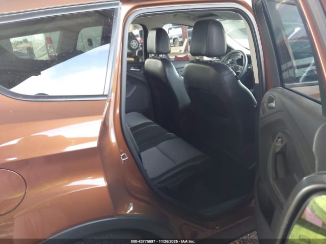 Ford Escape Titanium Image 8