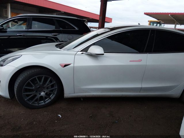 Tesla Model 3 Image 10