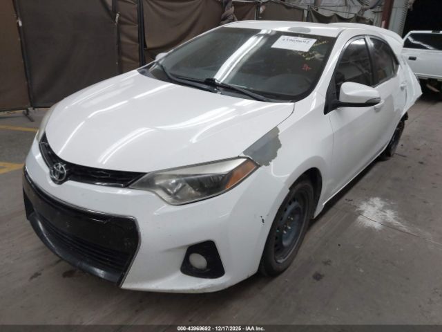 Toyota Corolla S Image 6