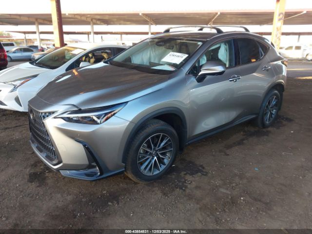 Lexus NX Premium Image 2