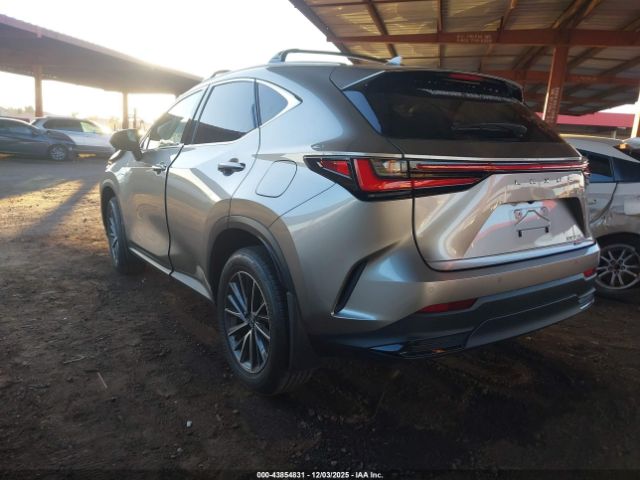 Lexus NX Premium Image 5