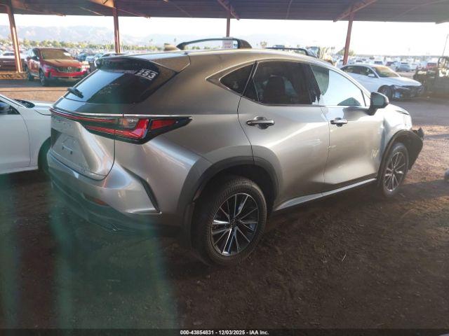 Lexus NX Premium Image 8