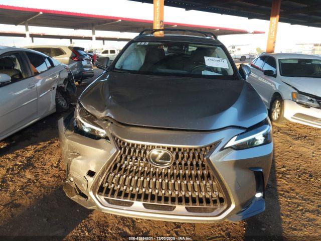 Lexus NX Premium Image 9