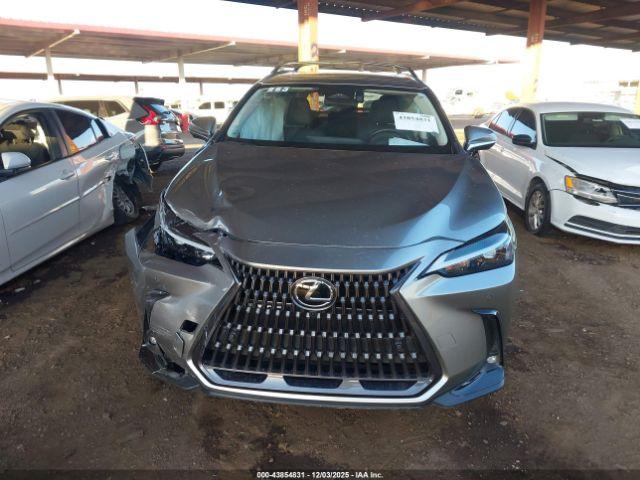 Lexus NX Premium Image 11