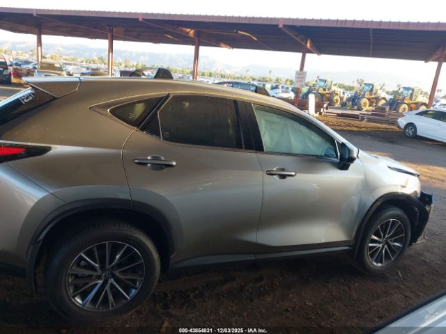 Lexus NX Premium Image 10