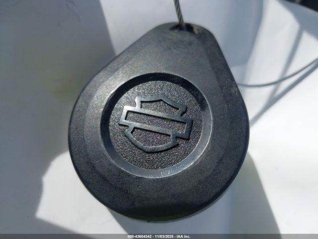 Harley-Davidson Fxlrs Image 12