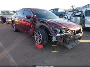  Salvage Honda Accord