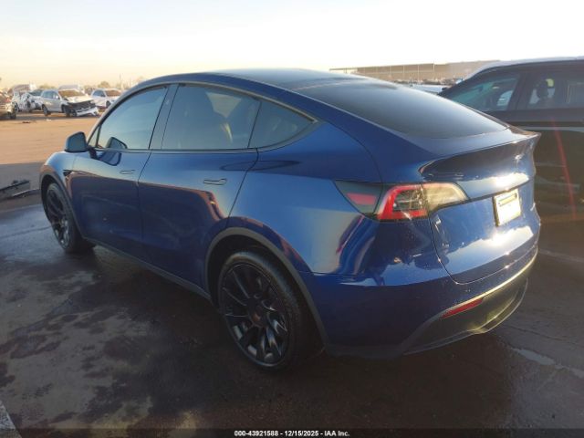 Tesla Model Y Image 2