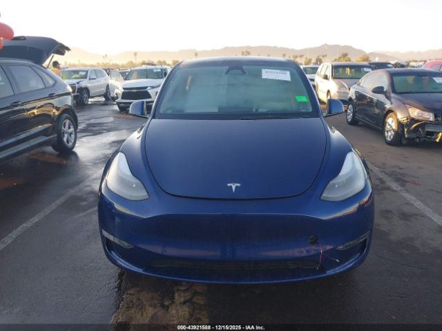 Tesla Model Y Image 13