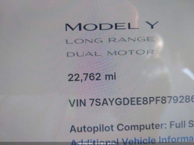 Tesla Model Y Image 12