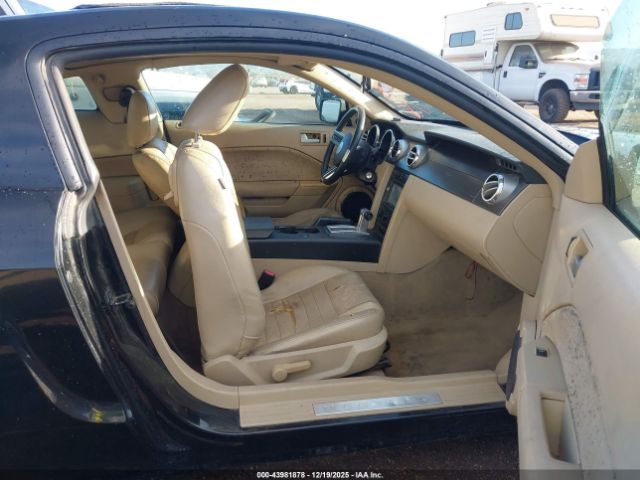 Ford Mustang Image 3