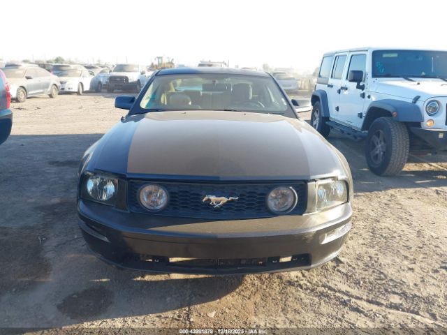 Ford Mustang Image 6