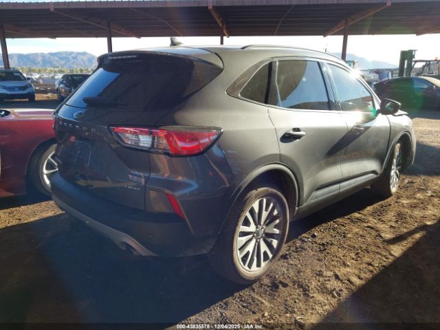 Ford Escape Titanium Image 7