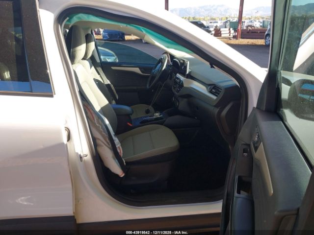 Ford Escape Se Image 6